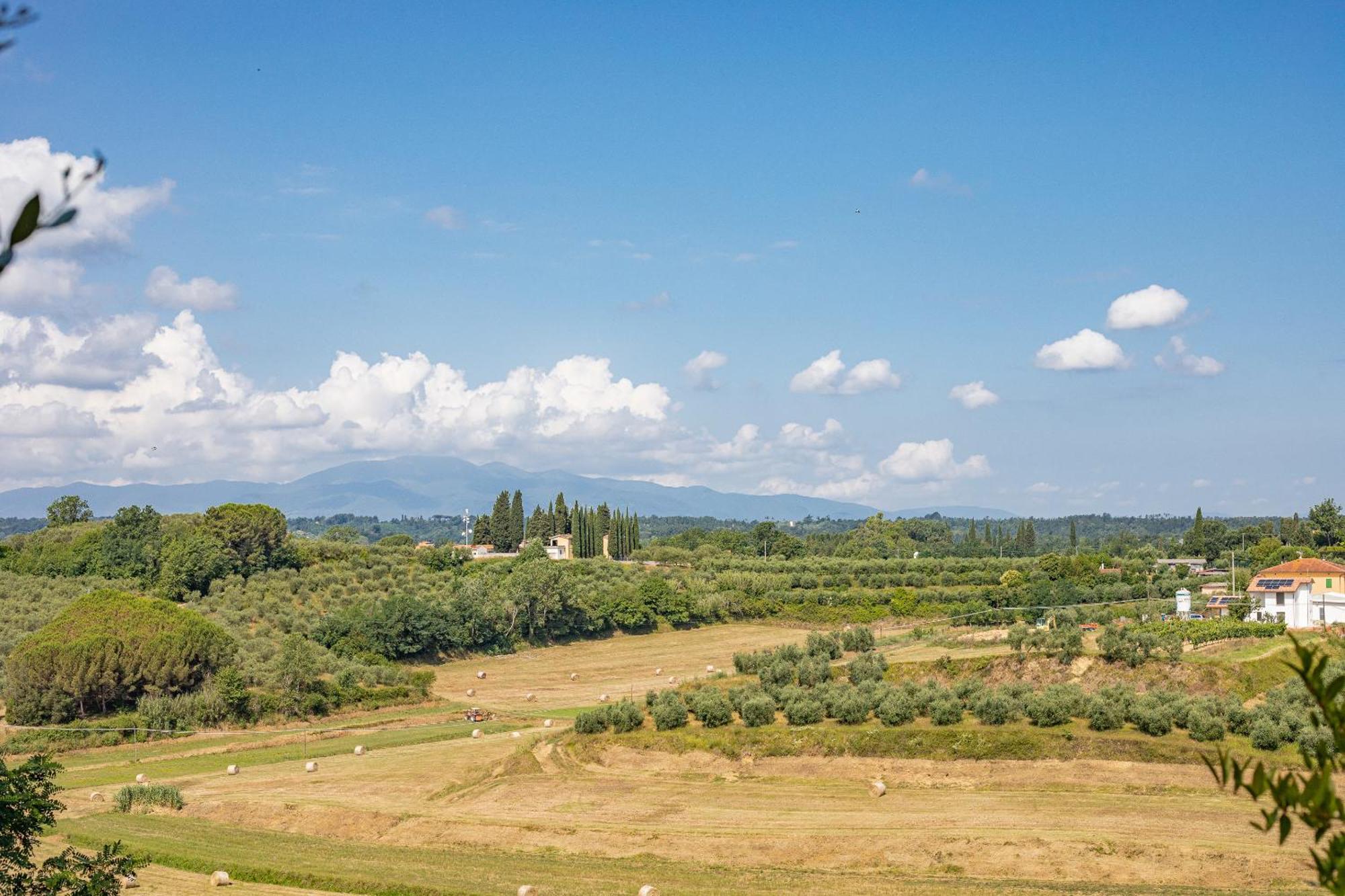Fienile Cipresso, Art Of Living Tuscany Torre Dış mekan fotoğraf